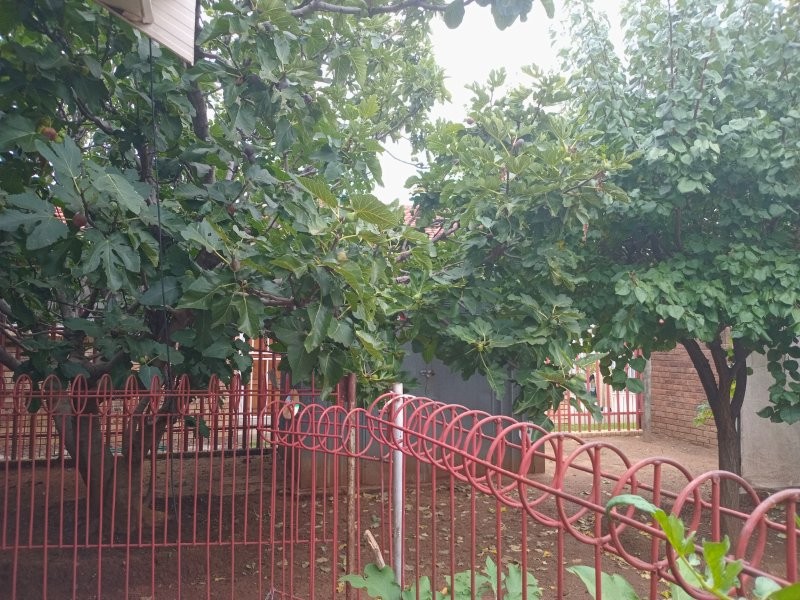 3 Bedroom Property for Sale in Bloemhof North West